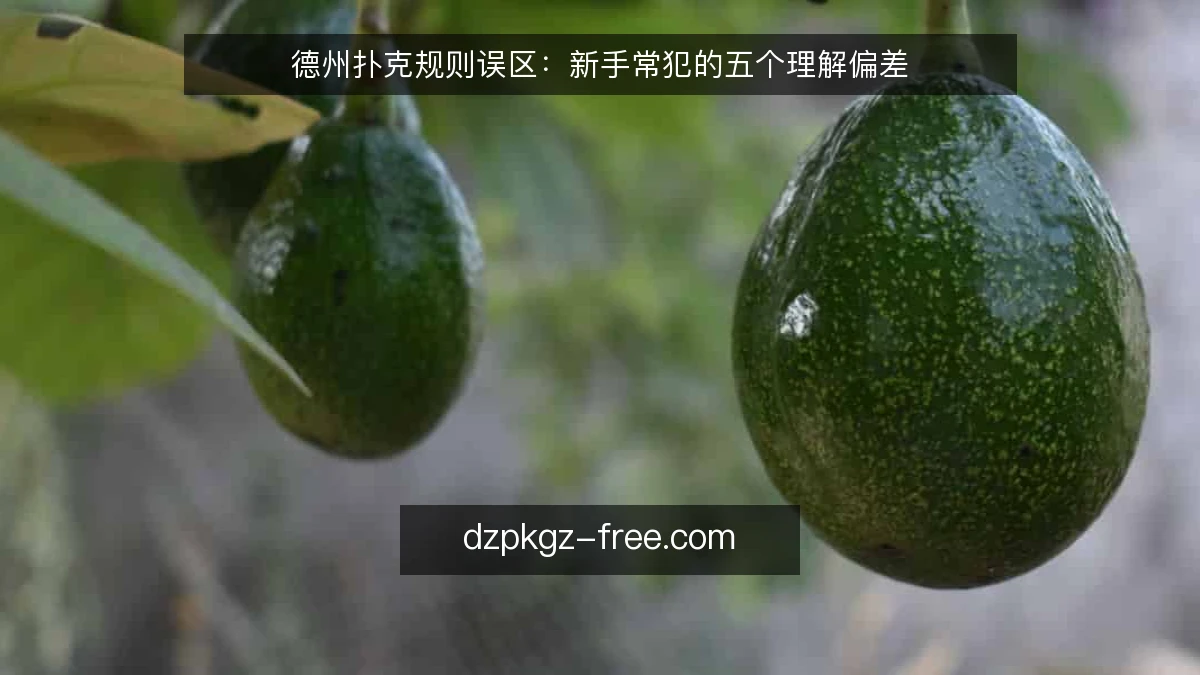 德州扑克规则误区：新手常犯的五个理解偏差